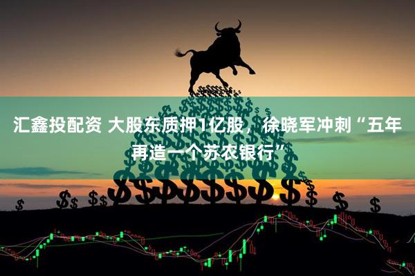 汇鑫投配资 大股东质押1亿股，徐晓军冲刺“五年再造一个苏农银行”